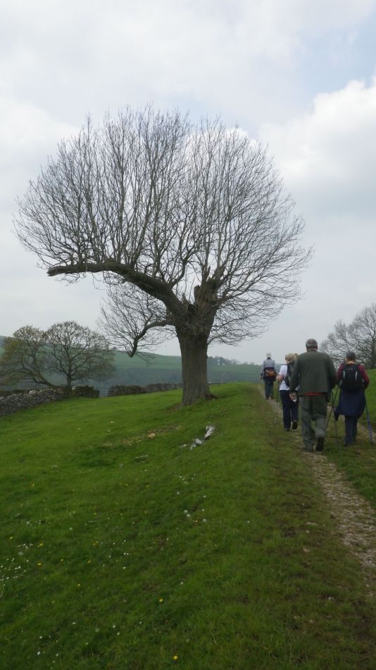 2019-04-30 76 Wetton Manifold Ilam.jpg