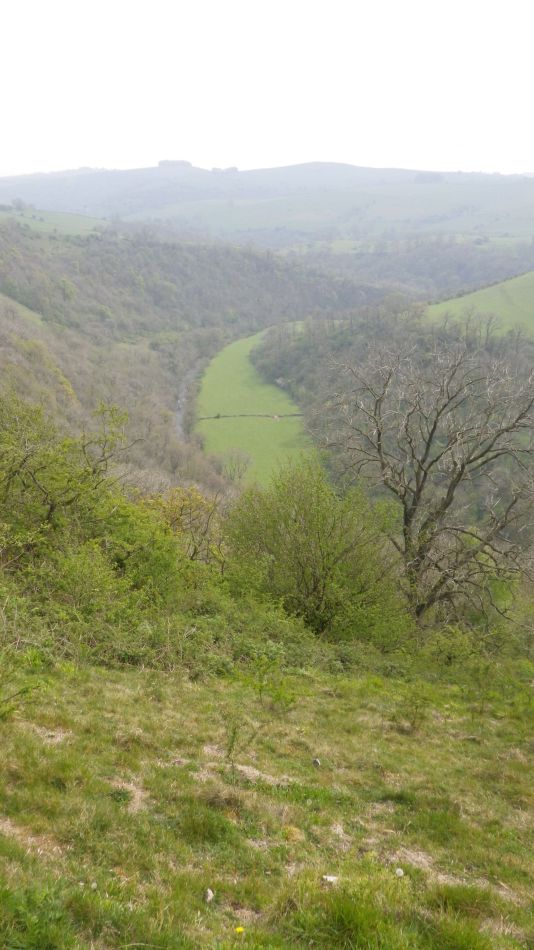 2019-04-30 83 Manifold Valley.jpg