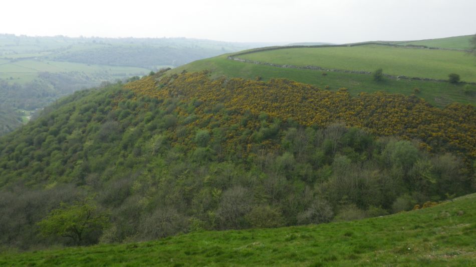 2019-04-30 84 Manifold Valley.jpg