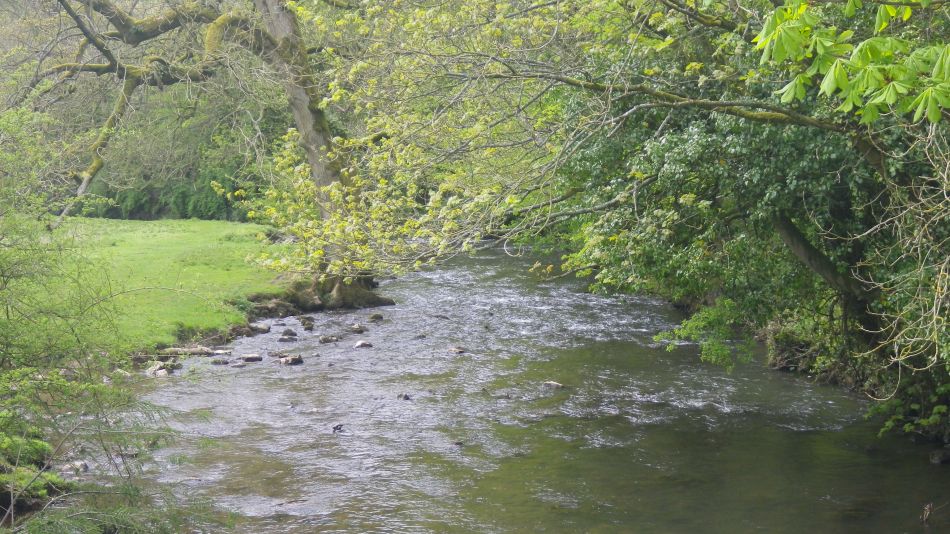2019-05-02 27 Wetton Alstonfield Dovedale Stanslope.jpg