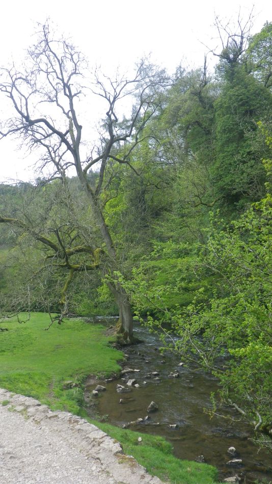 2019-05-02 28 Wetton Alstonfield Dovedale Stanslope.jpg