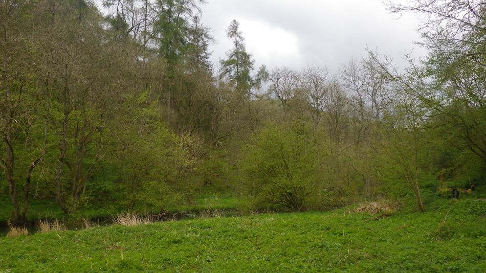 2019-05-02 60 Wetton Alstonfield Dovedale Stanslope.jpg