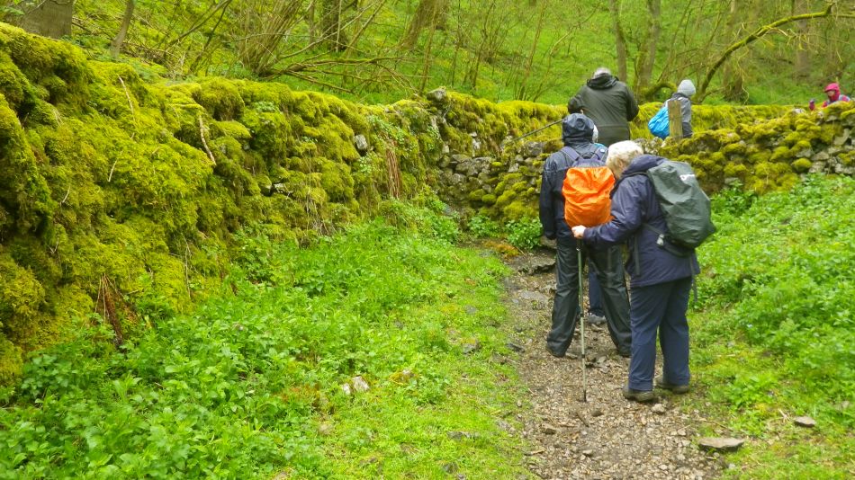 2019-05-02 65 Wetton Alstonfield Dovedale Stanslope.jpg
