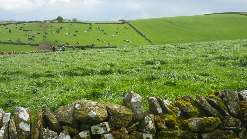 2019-05-02 71 Wetton Alstonfield Dovedale Stanslope.jpg