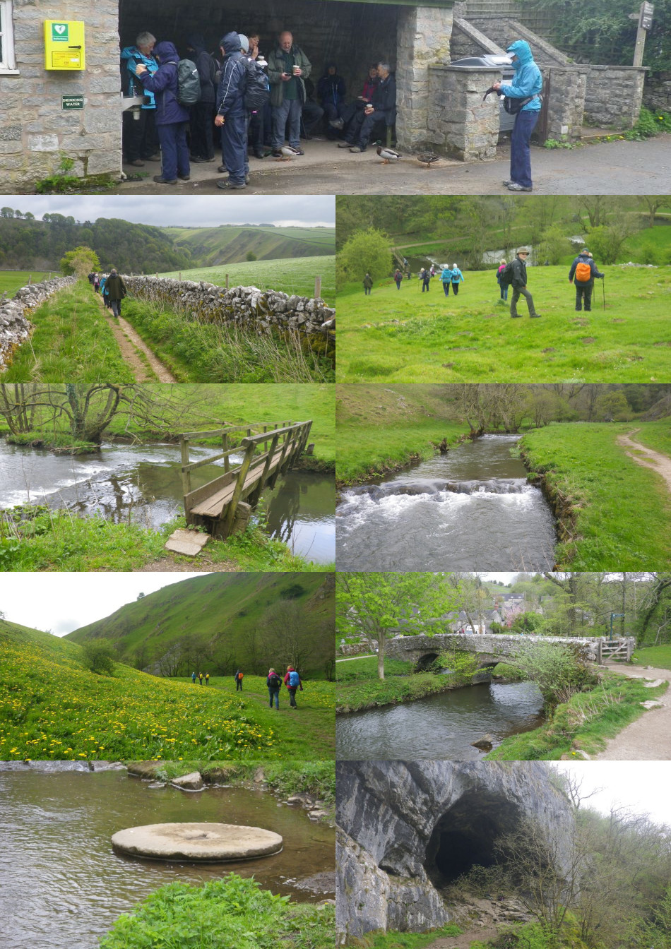 2019-05-02 98 Image.jpg