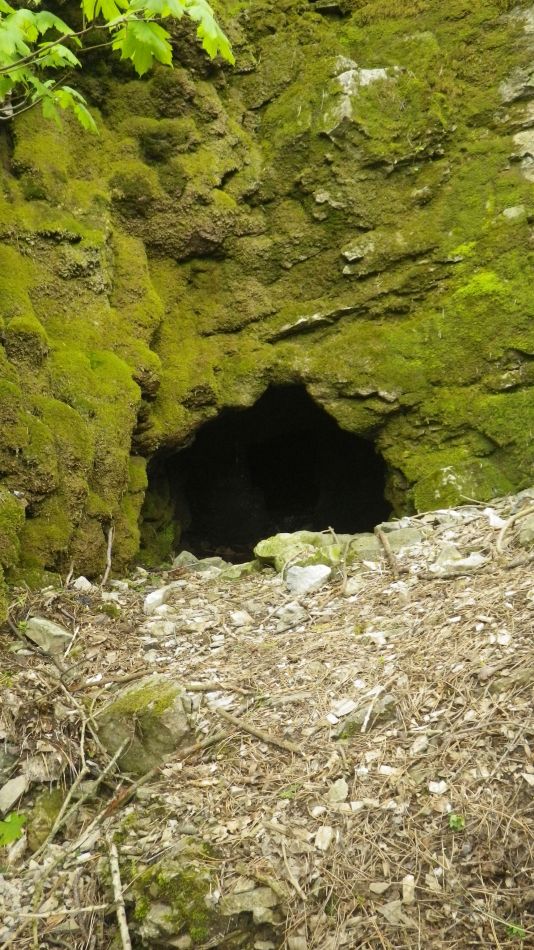 2019-05-05 19 Spring.jpg