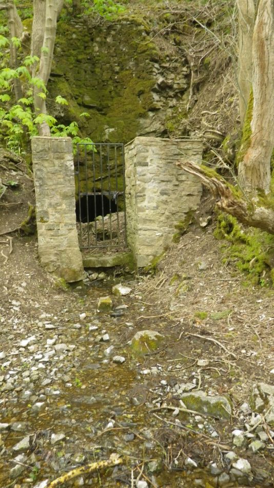 2019-05-05 20 Spring.jpg