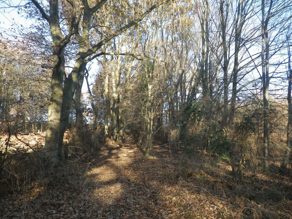 2016-12-04 01 Fritton and Lound Area.jpg