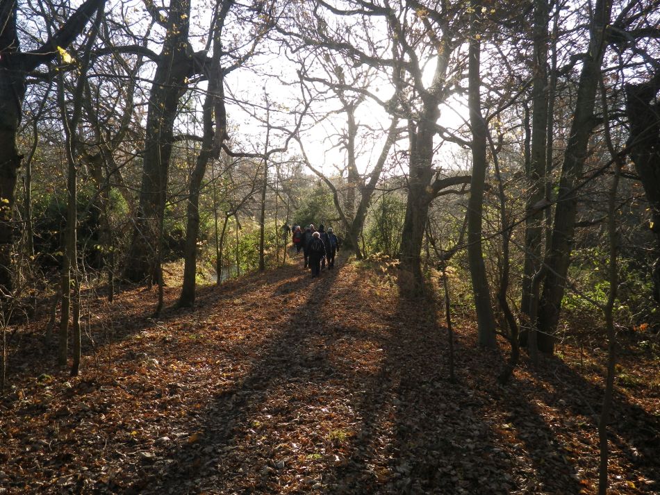 2016-12-04 02 Fritton and Lound Area.jpg