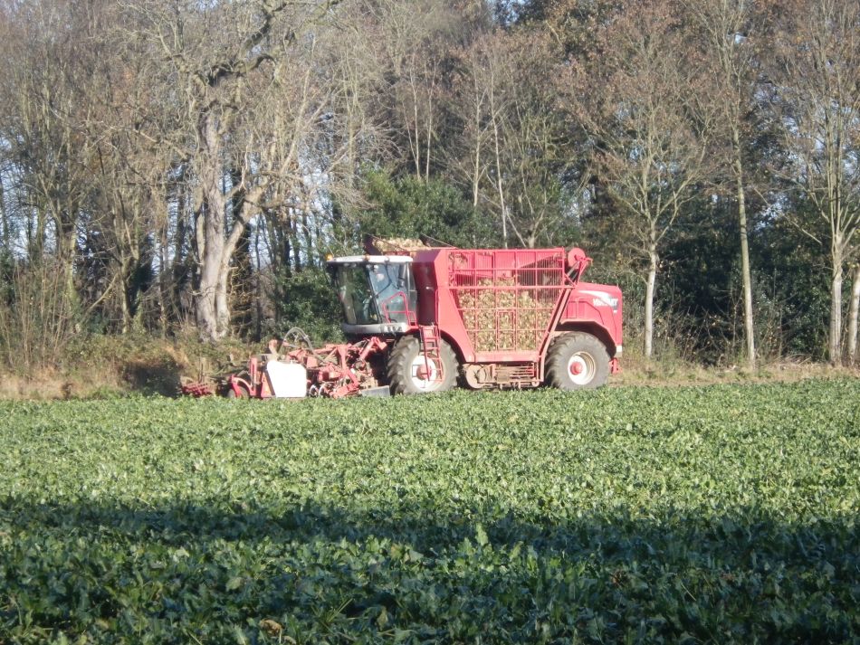 2016-12-04 03 Fritton and Lound Area.jpg