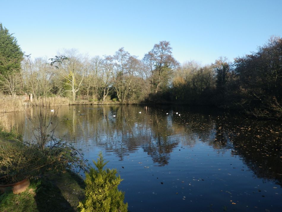 2016-12-04 08 Fritton and Lound Area.jpg