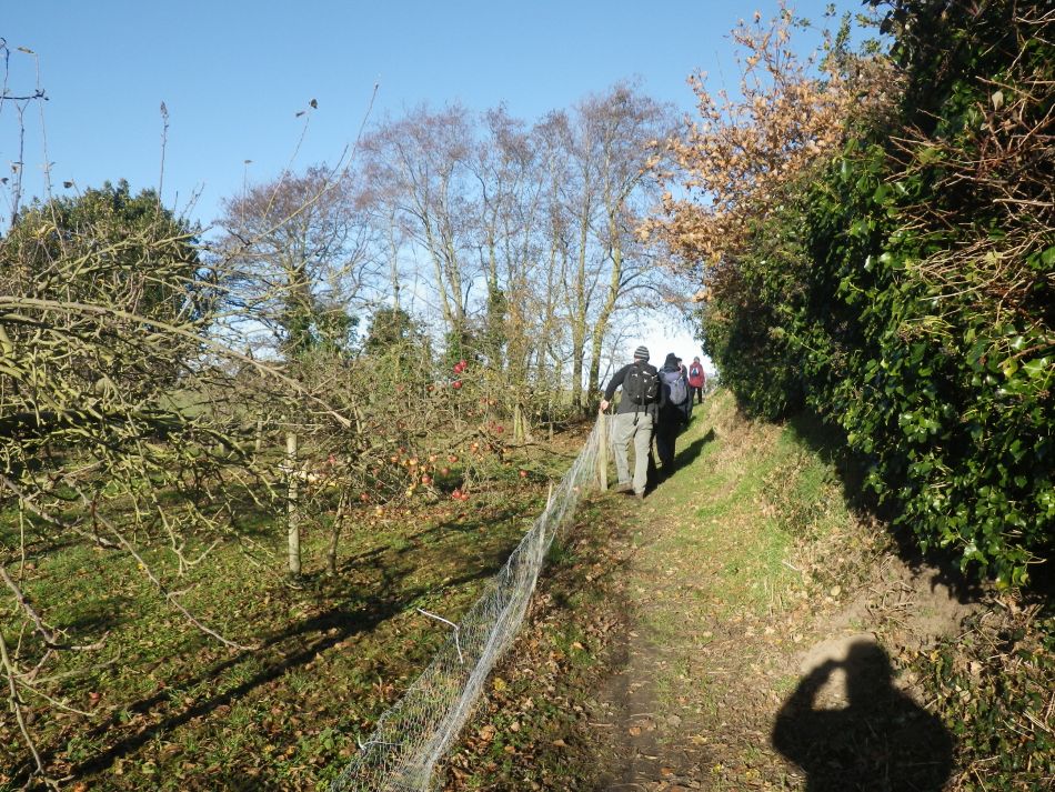 2016-12-04 14 Fritton and Lound Area.jpg