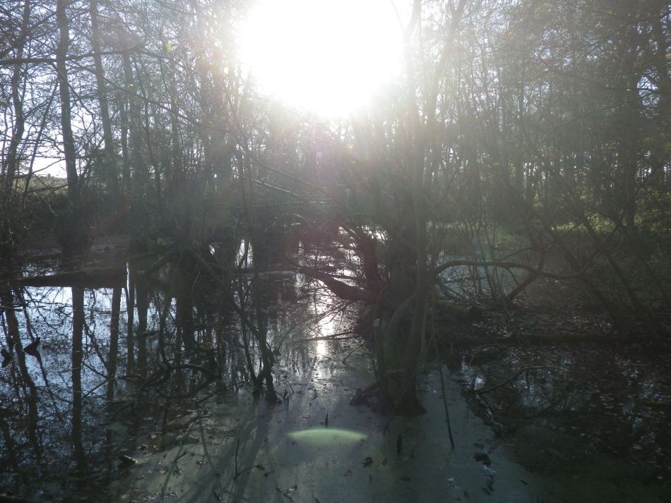 2016-12-04 17 Fritton and Lound Area.jpg