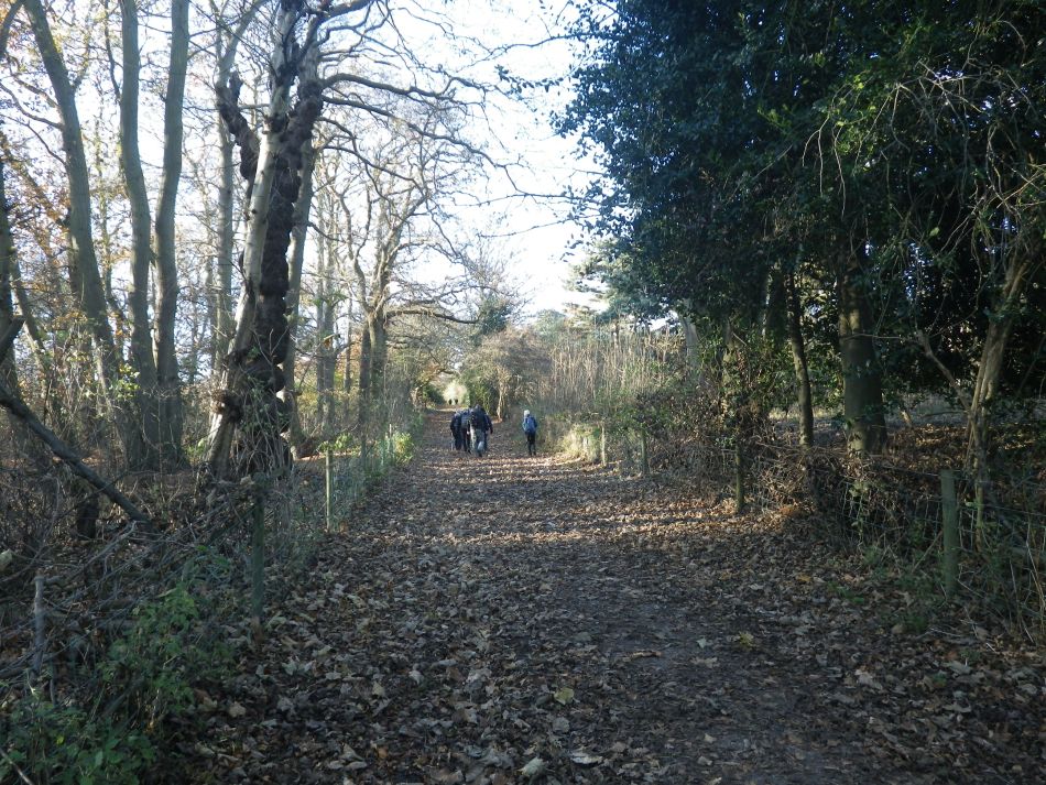 2016-12-04 18 Fritton and Lound Area.jpg