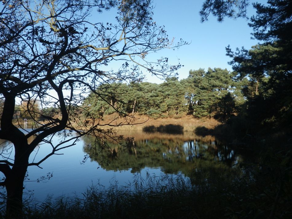 2016-12-04 23 Fritton and Lound Area.jpg