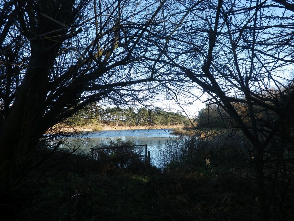 2016-12-04 24 Fritton and Lound Area.jpg