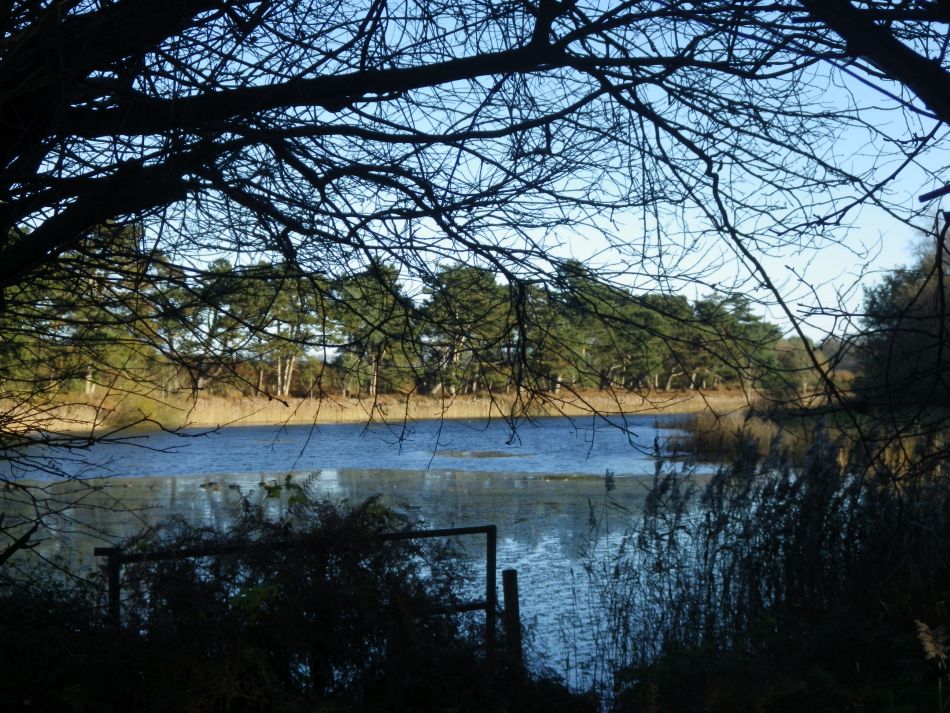 2016-12-04 25 Fritton and Lound Area.jpg