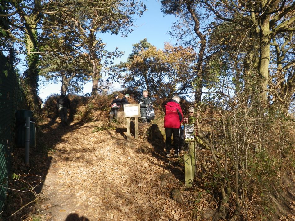 2016-12-04 26 Fritton and Lound Area.jpg