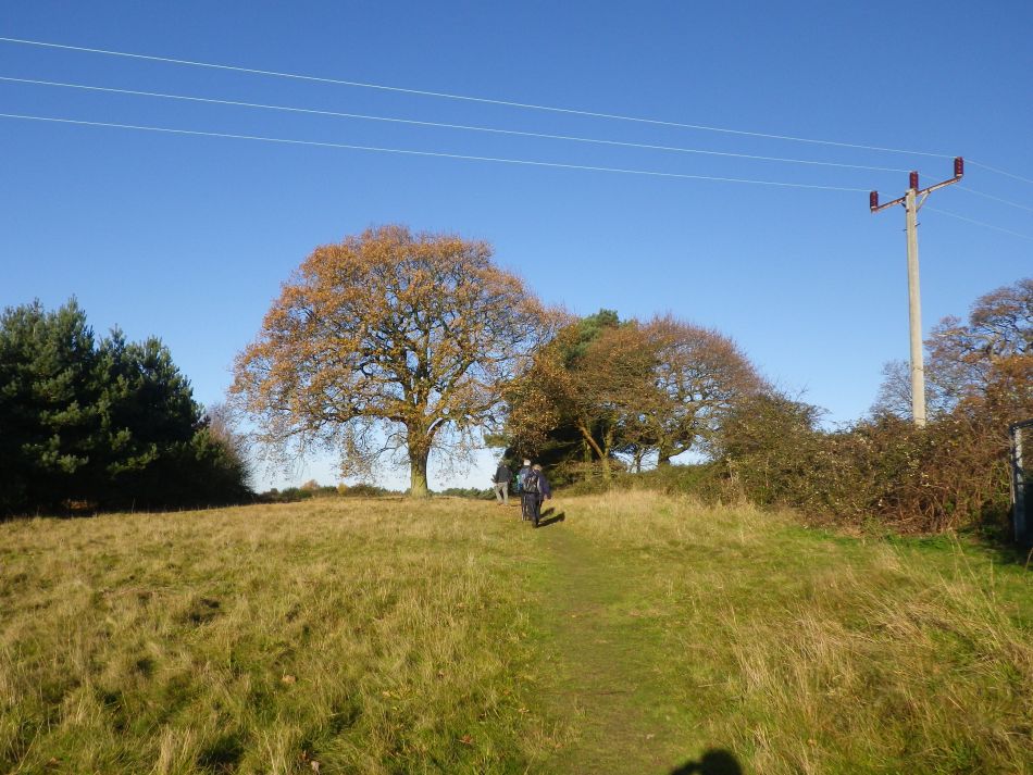 2016-12-04 27 Fritton and Lound Area.jpg