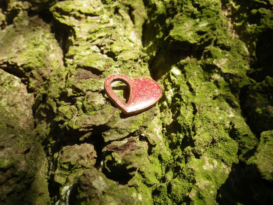 2016-12-04 30 Fritton and Lound Area.jpg