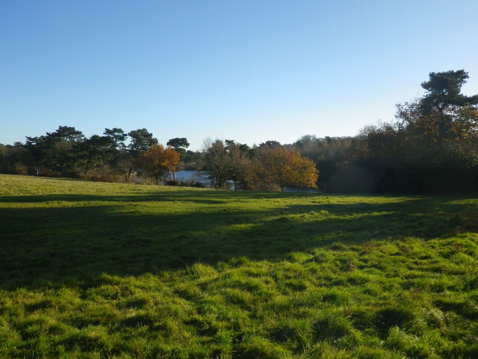 2016-12-04 31 Fritton and Lound Area.jpg