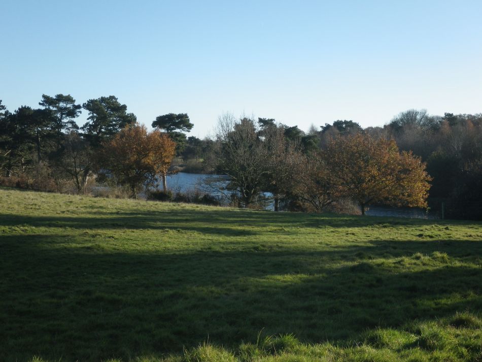 2016-12-04 32 Fritton and Lound Area.jpg