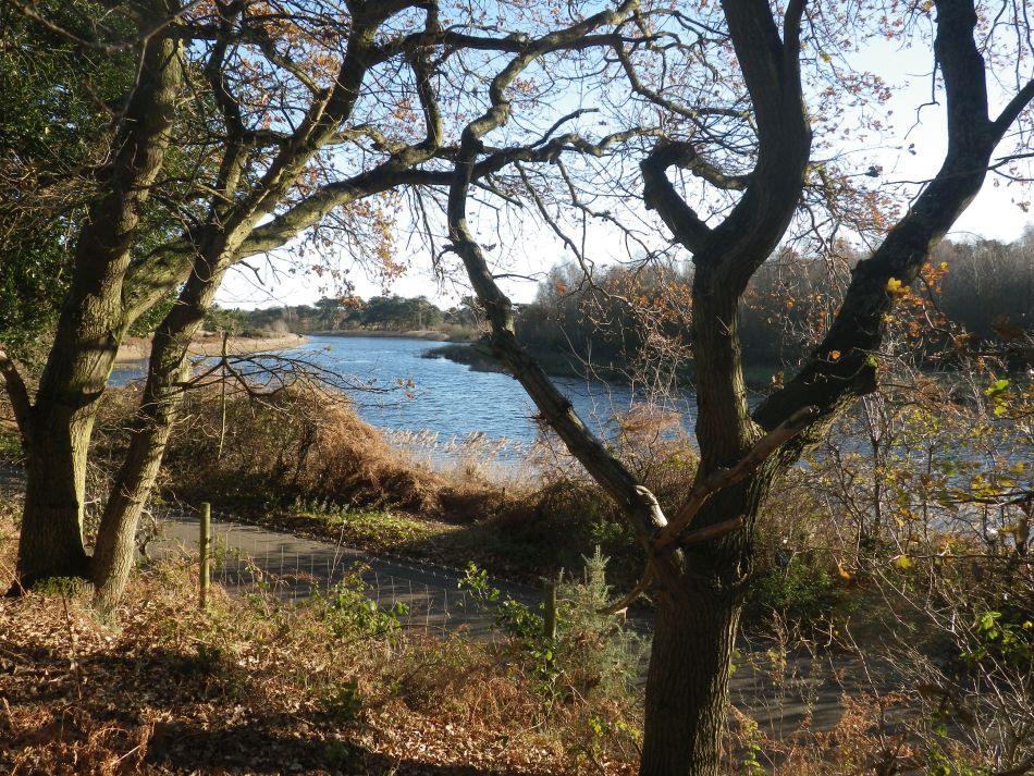 2016-12-04 33 Fritton and Lound Area.jpg