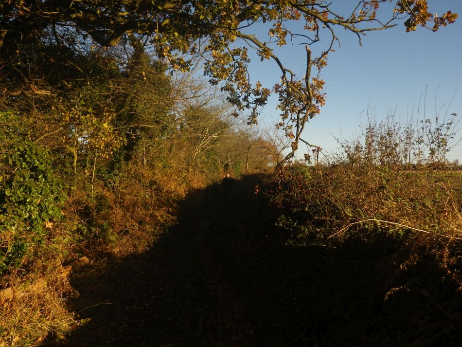 2016-12-04 34 Fritton and Lound Area.jpg