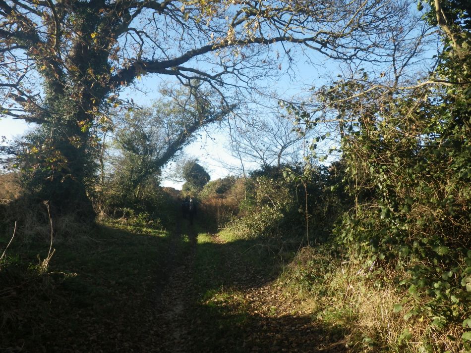 2016-12-04 35 Fritton and Lound Area.jpg