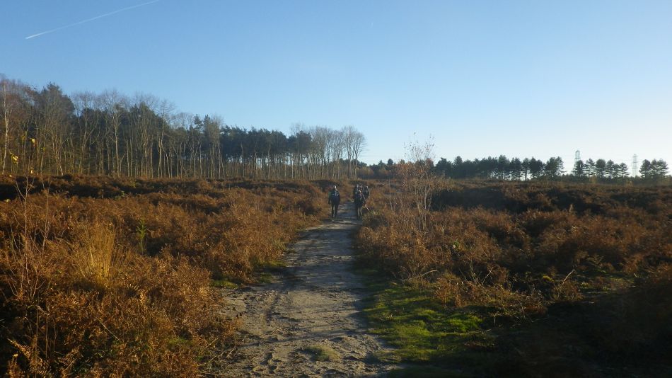 2016-12-04 39 Fritton and Lound Area.jpg