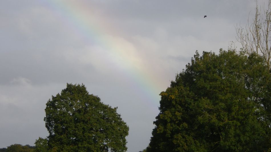 2016-10-19 01 St Margaret South Elmham.jpg