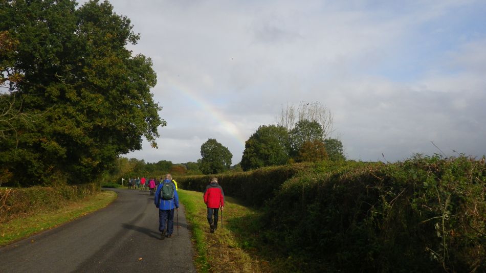 2016-10-19 02 St Margaret South Elmham.jpg