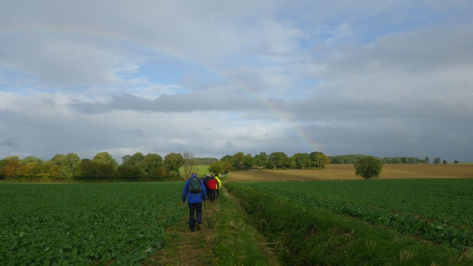 2016-10-19 03 St Margaret South Elmham.jpg