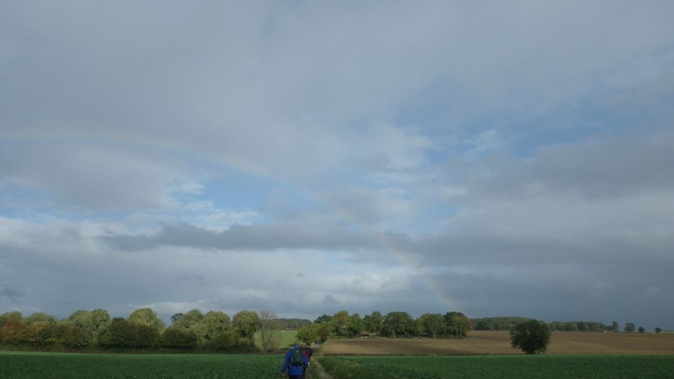 2016-10-19 04 St Margaret South Elmham.jpg