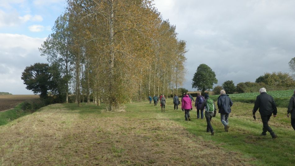 2016-10-19 05 St Margaret South Elmham.jpg