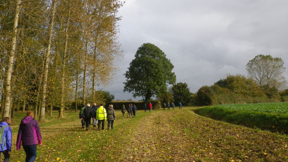 2016-10-19 06 St Margaret South Elmham.jpg