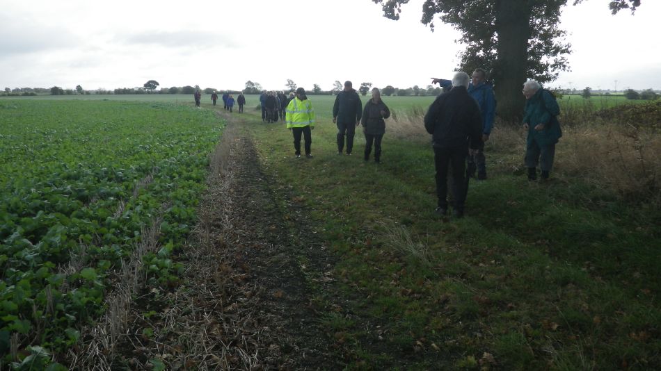 2016-10-19 09 St Margaret South Elmham.jpg