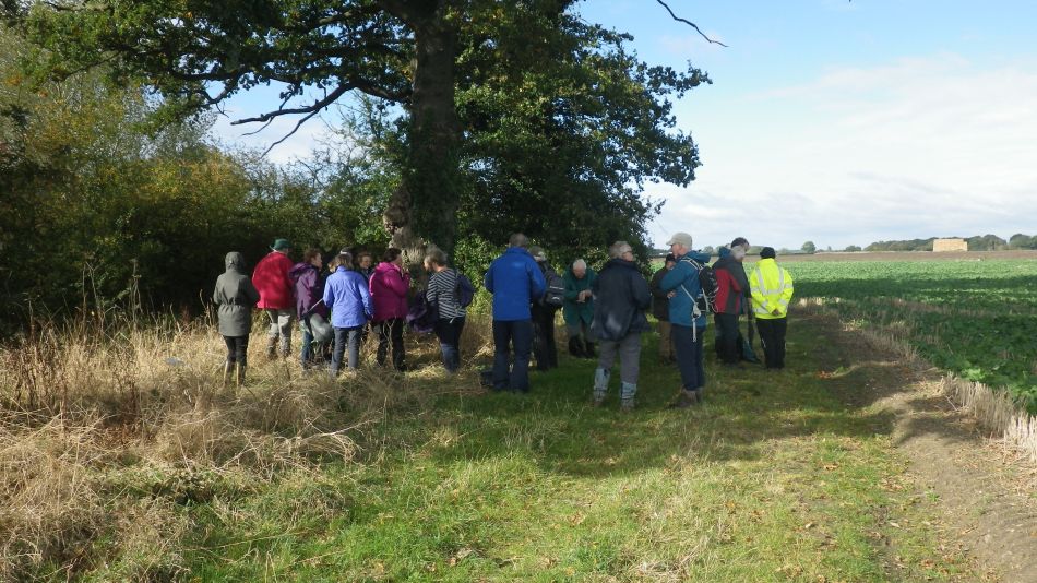 2016-10-19 11 St Margaret South Elmham.jpg