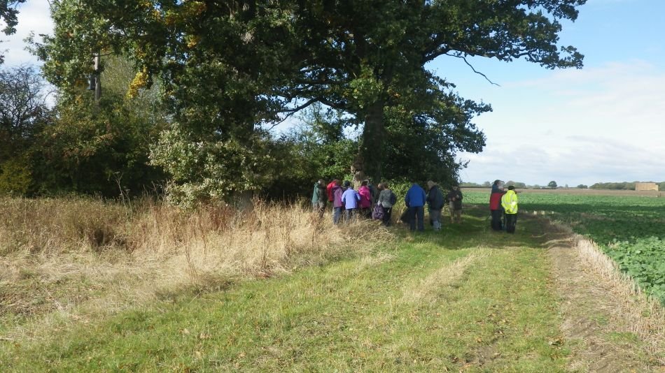 2016-10-19 12 St Margaret South Elmham.jpg