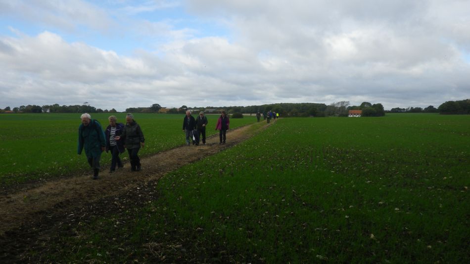 2016-10-19 13 St Margaret South Elmham.jpg