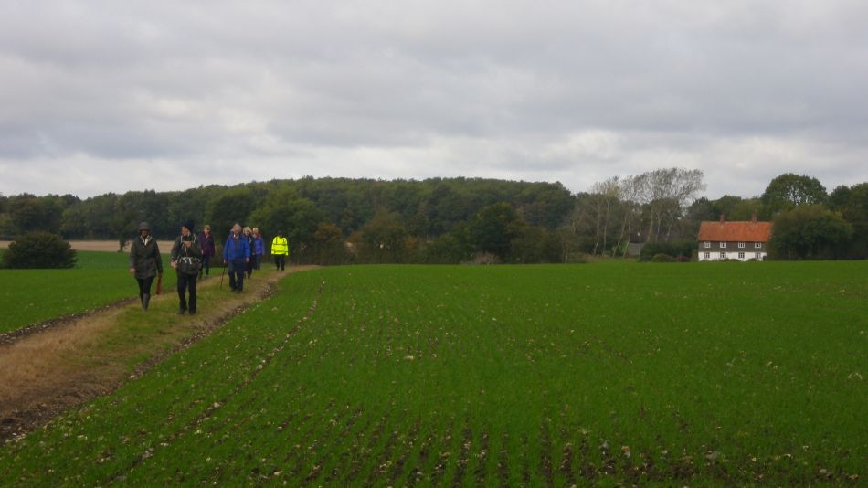 2016-10-19 14 St Margaret South Elmham.jpg