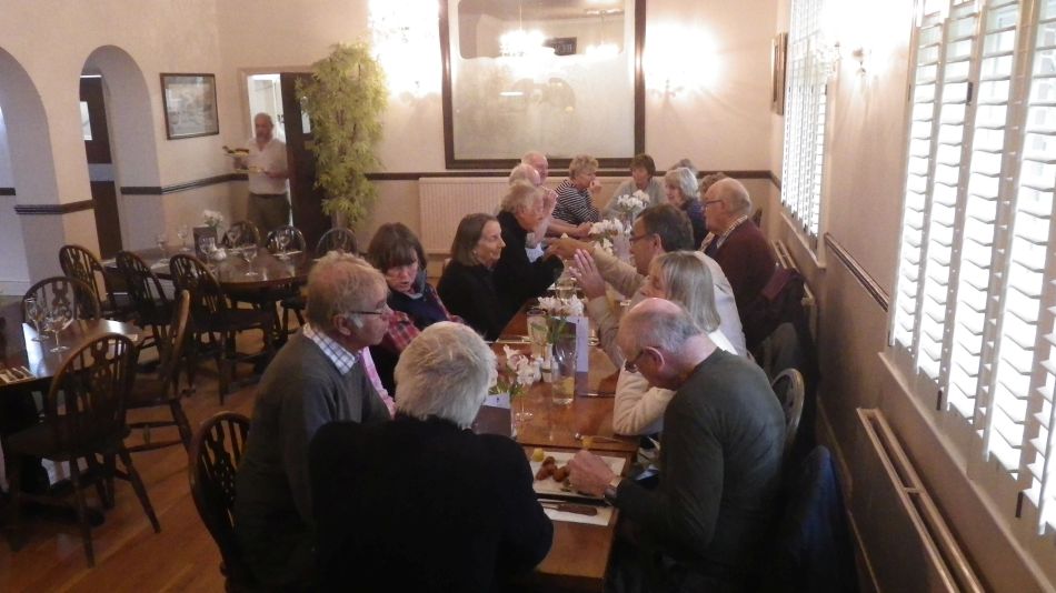 2016-10-19 15 Black Swan.jpg