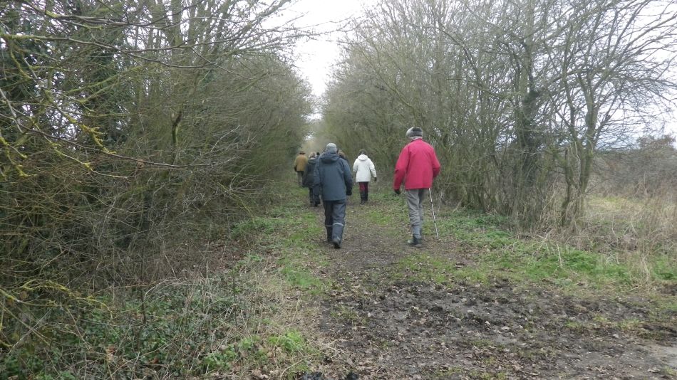 2017-02-22 04 St Margaret and St Cross Area.JPG