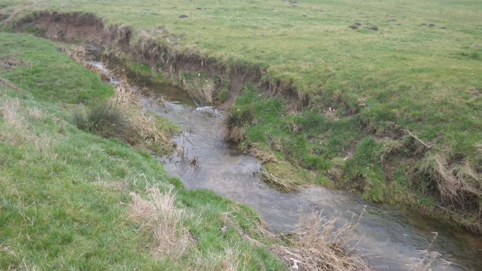 2017-02-22 05 St Margaret and St Cross Area.JPG