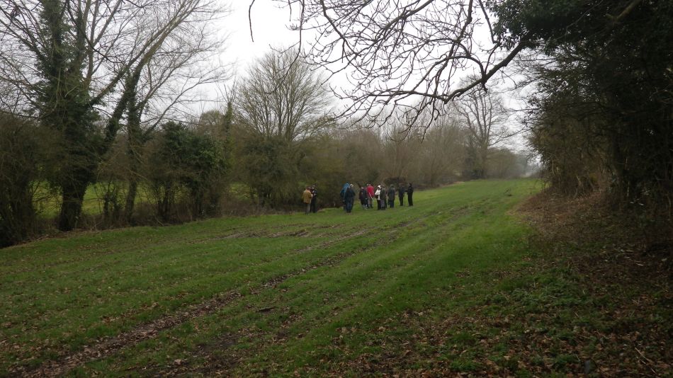 2017-02-22 09 St Margaret and St Cross Area.JPG