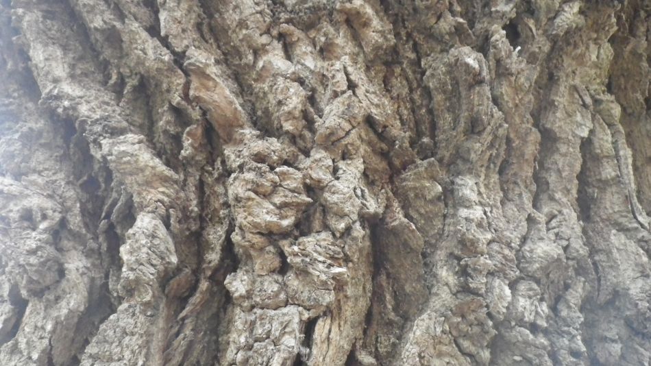 2017-02-22 11 St Margaret and St Cross Area.JPG