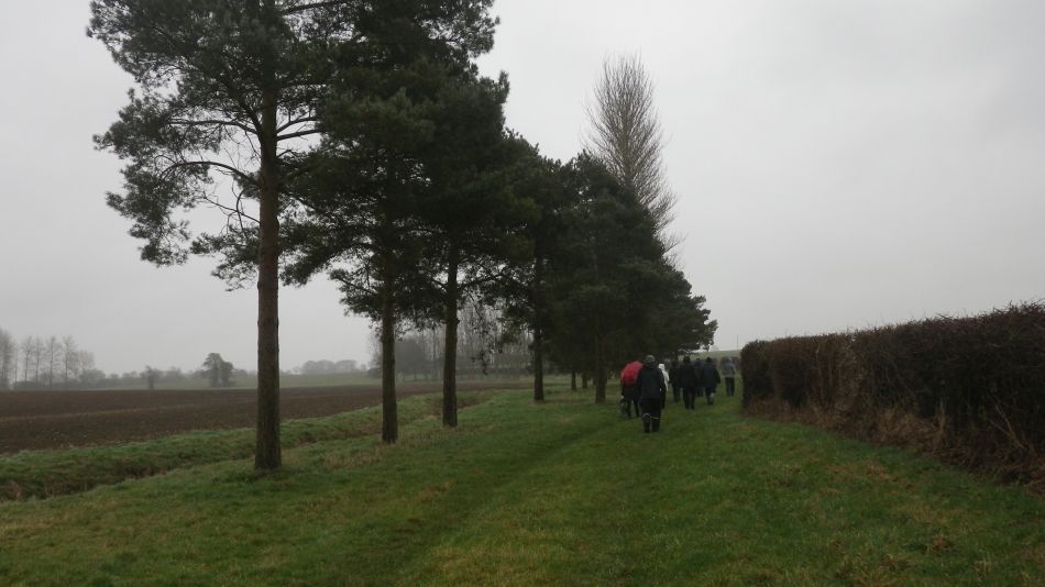 2017-02-22 12 St Margaret and St Cross Area.JPG