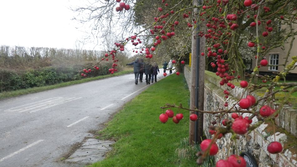 2017-02-22 14 St Margaret and St Cross Area.JPG