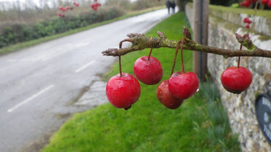 2017-02-22 15 St Margaret and St Cross Area.JPG