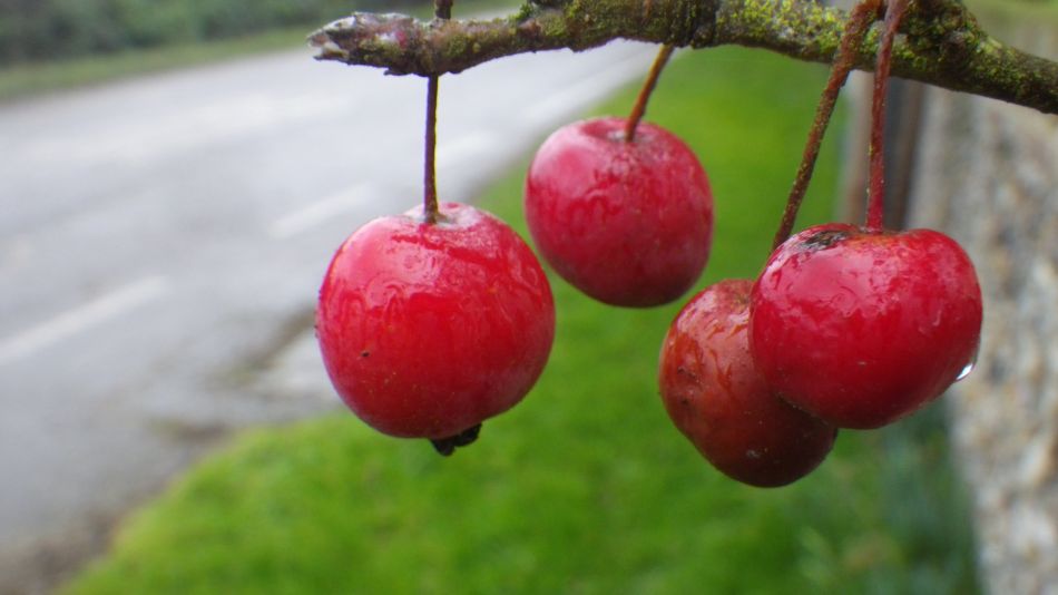 2017-02-22 16 St Margaret and St Cross Area.JPG